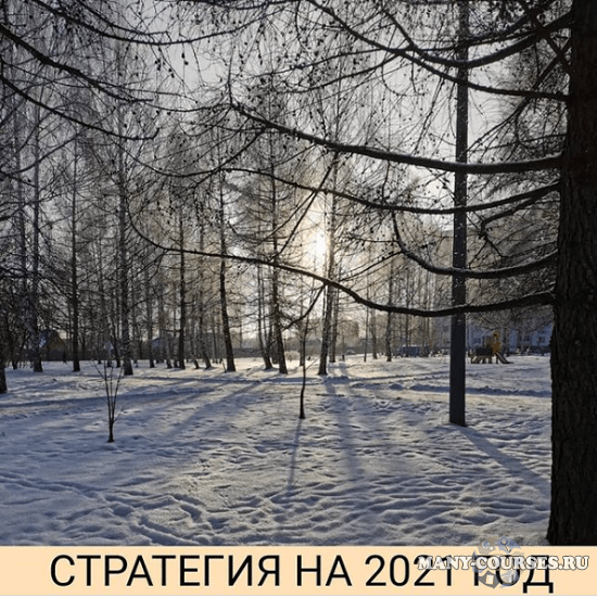 Private Investor / Александр Петров - Моя стратегия 2021, VS 2.0