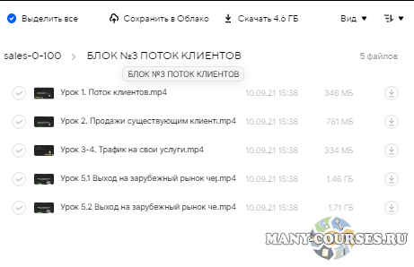 Влад Лыманюк, Виталий Гончаров - Sales 0-100. Тариф - Vip (2021)