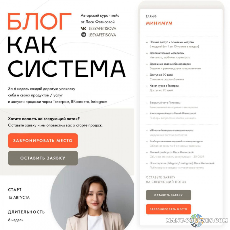 Леся Фетисова - Блог как система (2022)