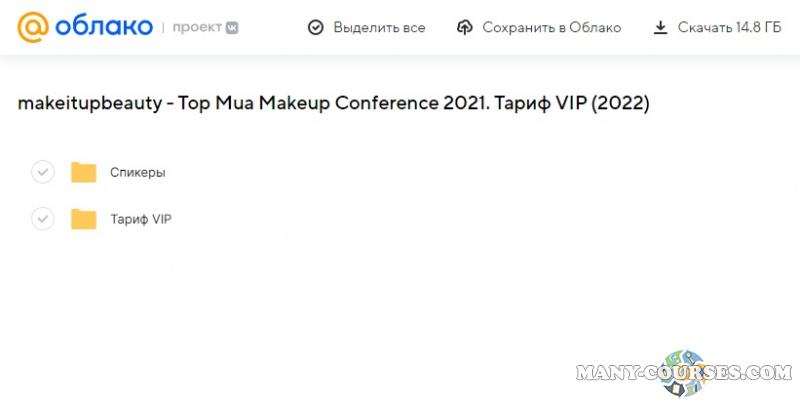 makeitupbeauty - Top Mua Makeup Conference 2021. Тариф VIP (2022)