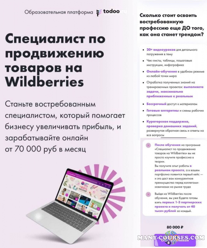 Todoo - Специалист по продвижению товаров в Wildberries (2022)