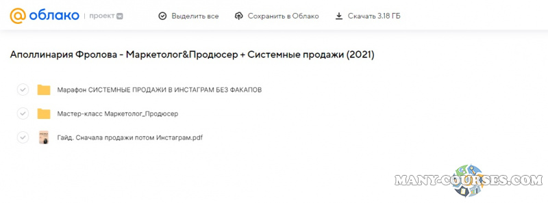 Аполлинария Фролова - Маркетолог&Продюсер + Системные продажи (2021)