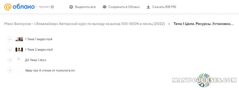 Макс Белоусов - «Эквалайзер» Авторский курс по выходу на доход 100-300К в месяц (2022)