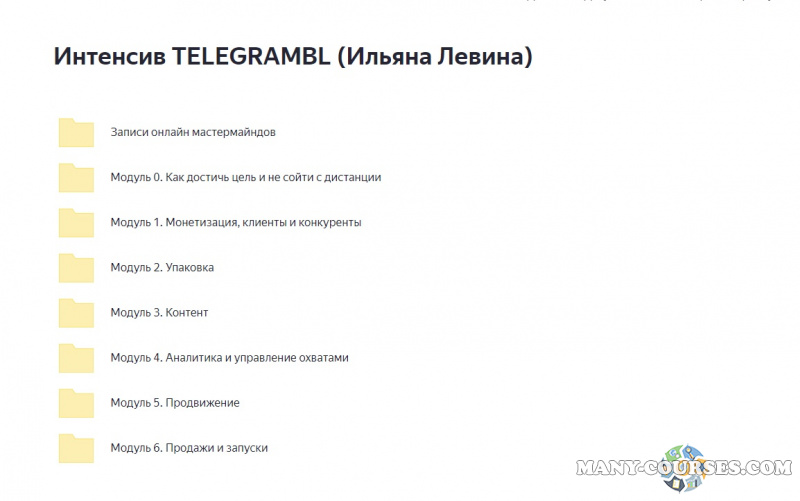 Smart Team / Ильяна Левина - TelegramBL. Тариф Полное погружение (2022)
