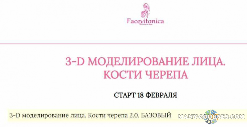 Facevitonica / Инна Алферова - 3Д Моделирование лица. Кости черепа (2023)