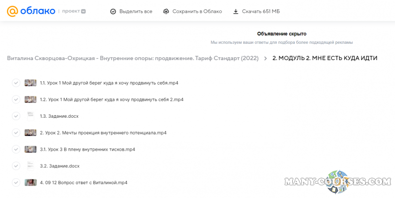 Виталина Скворцова-Охрицкая - Внутренние опоры: продвижение. Тариф Стандарт (2022)