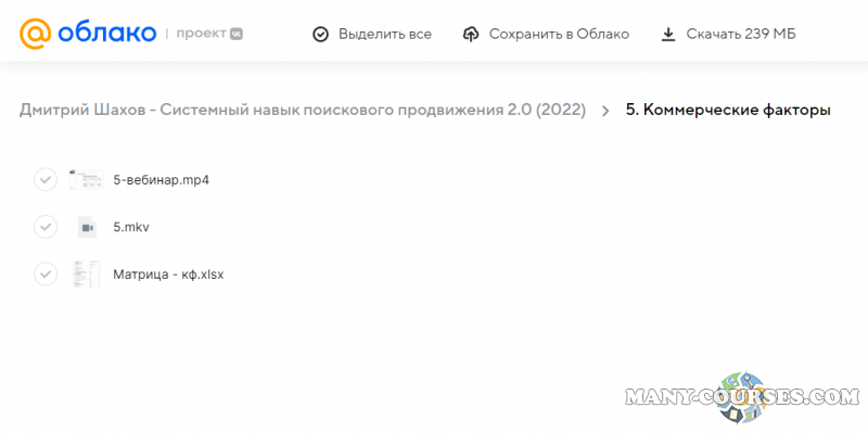 Дмитрий Шахов - Системный навык поискового продвижения 2.0 (2022)