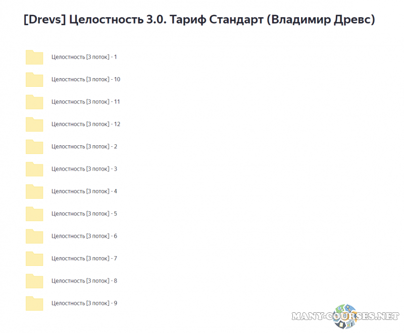 Drevs / Владимир Древс - Целостность 3.0. Тариф Стандарт (2023)